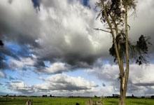 征途体育：[欧冠]F组第1轮：巴黎圣日耳曼VS多特蒙德.