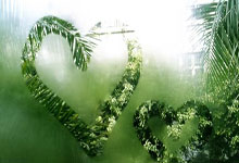 日媒回顾森保一留任：世界杯连克德西，让足协主席起了留用念头.