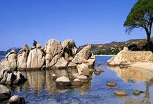 征途体育：安帅：我们已经准备好明天赛后接受批评，西超杯冠军意义非凡.